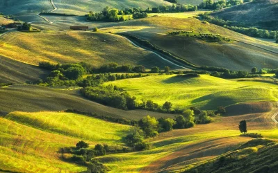 Proiect de lege pentru clarificarea dreptului de proprietate asupra terenurilor agricole Un proiect de lege depus la Senatul României propune modificarea Legii fondului funciar pentru a permite reconstituirea dreptului de proprietate asupra terenurilor agricole din fostele cooperative