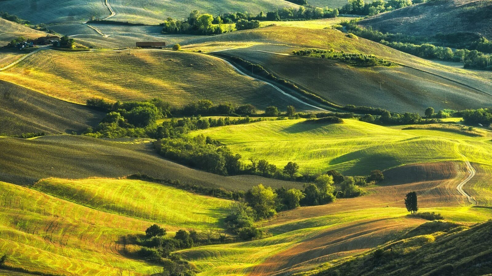 Proiect de lege pentru clarificarea dreptului de proprietate asupra terenurilor agricole Un proiect de lege depus la Senatul României propune modificarea Legii fondului funciar pentru a permite reconstituirea dreptului de proprietate asupra terenurilor agricole din fostele cooperative