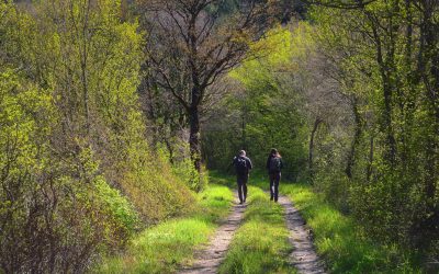 Natura, aliatul tău pentru o stare de bine: Cum influențează sănătatea plimbările în aer liber O simplă plimbare în parc sau o ieșire în pădure pot aduce beneficii semnificative pentru sănătate, demonstrând o legătură puternică între om și natură