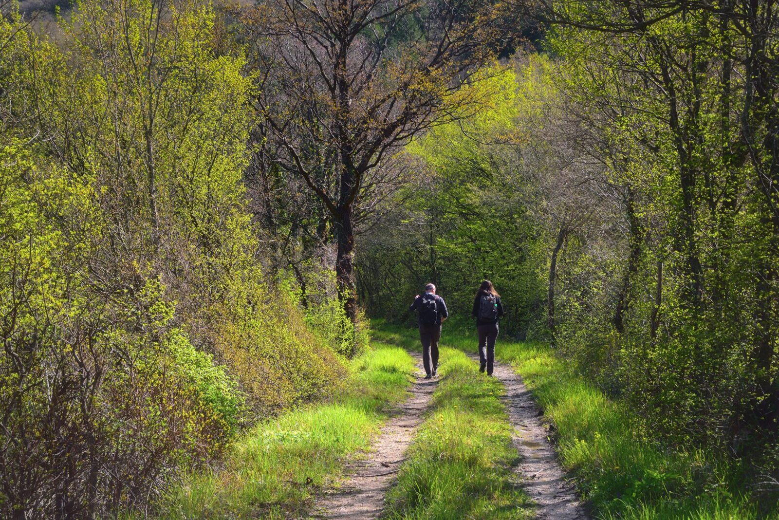Natura, aliatul tău pentru o stare de bine: Cum influențează sănătatea plimbările în aer liber O simplă plimbare în parc sau o ieșire în pădure pot aduce beneficii semnificative pentru sănătate, demonstrând o legătură puternică între om și natură