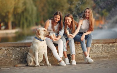 Iașiul, o excepție pe harta demografică a României: bărbații sunt mai mulți decât femeile În timp ce florăriile și magazinele se pregătesc pentru 8 Martie, ziua dedicată femeilor, o schimbare neașteptată a apărut pe harta demografică a României