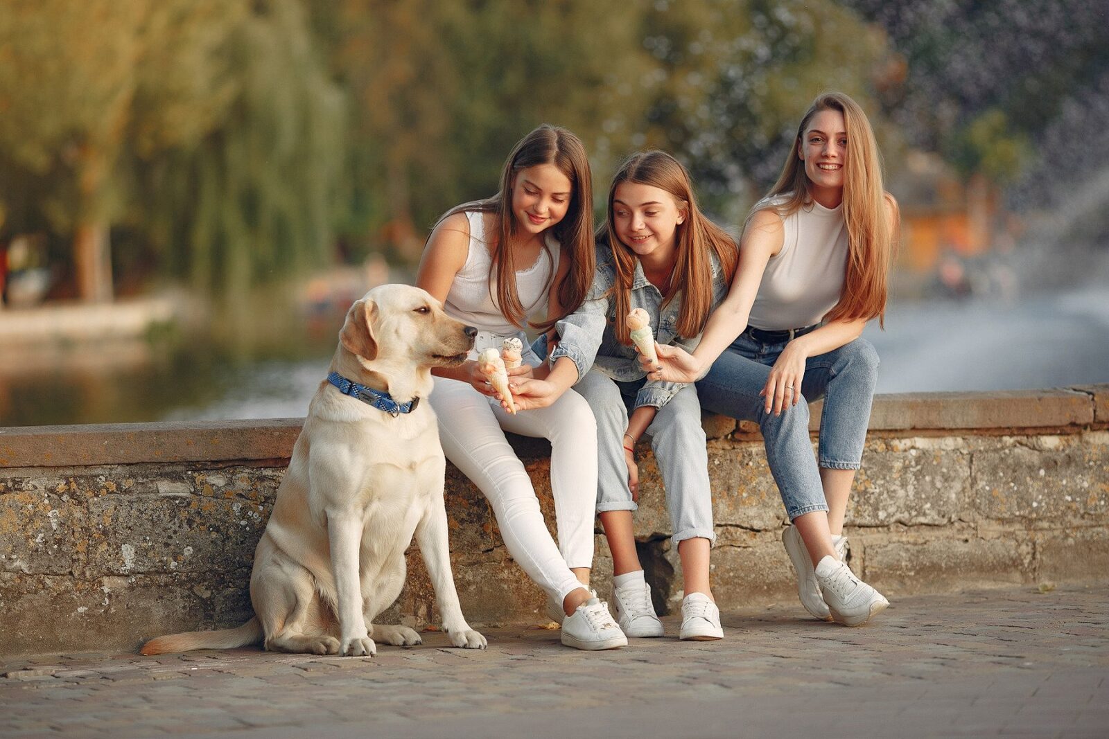 Iașiul, o excepție pe harta demografică a României: bărbații sunt mai mulți decât femeile În timp ce florăriile și magazinele se pregătesc pentru 8 Martie, ziua dedicată femeilor, o schimbare neașteptată a apărut pe harta demografică a României