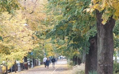 Buzău: Primăria demarează proiecte pentru incluziunea romilor, inclusiv un parc în Simileasca Primăria municipiului Buzău va construi un parc în cartierul Simileasca, locuit preponderent de comunitatea de romi, și va implementa programe sociale și de sănătate, potrivit declarațiilor primarului Constantin Toma