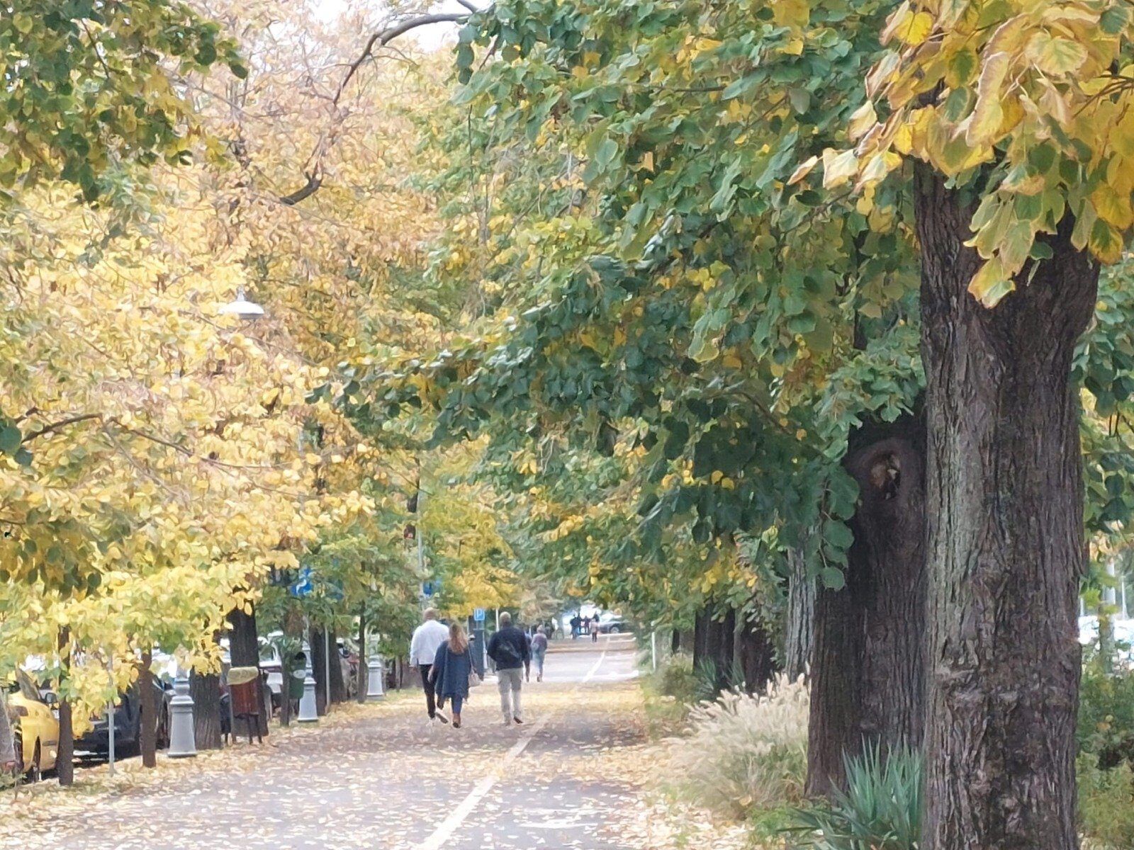 Buzău: Primăria demarează proiecte pentru incluziunea romilor, inclusiv un parc în Simileasca Primăria municipiului Buzău va construi un parc în cartierul Simileasca, locuit preponderent de comunitatea de romi, și va implementa programe sociale și de sănătate, potrivit declarațiilor primarului Constantin Toma