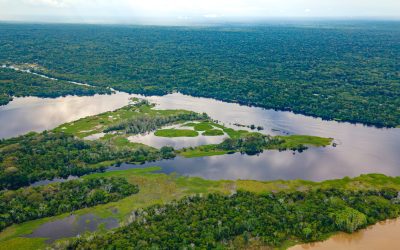 Speranțe pentru un trib amazonian amenințat cu dispariția