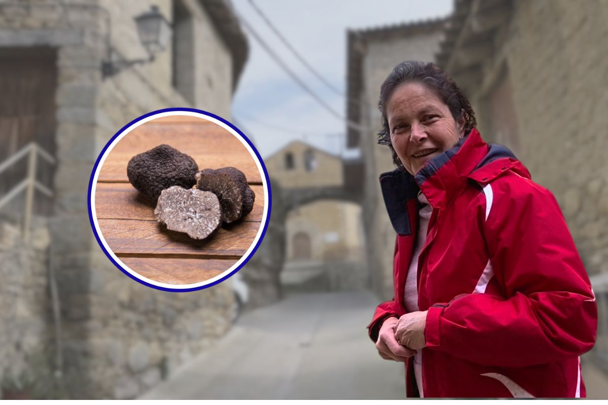Trufele negre din Spania, o delicatesă ascunsă a gastronomiei Franța și Italia sunt consacrate în lumea gastronomiei drept țări producătoare de trufe negre de calitate