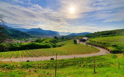 Case la 1 euro, afaceri gratis și bani pentru copii: Planul inedit al Italiei