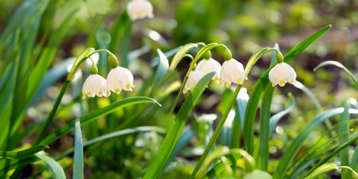Vremea se schimbă: ANM anunță cum va fi vremea în următoarele patru săptămâni Administrația Națională de Meteorologie (ANM) a publicat marți prognoza meteo pentru următoarele patru săptămâni, oferind o perspectivă asupra evoluției vremii în România