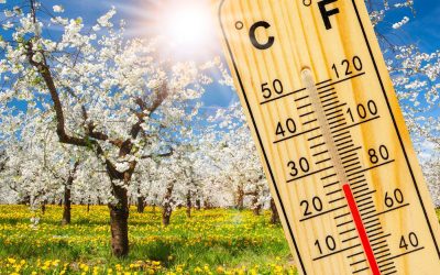 Prognoza meteo pentru martie 2026: Început de primăvară cu temperaturi peste medie, dar precipitații sub limitele normale Primăvara își face timid apariția în termometre, cu o lună martie 2026 care ne va surprinde cu temperaturi ușor mai ridicate decât cele obișnuite, dar și cu un deficit de precipitații