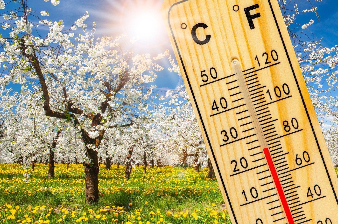 Prognoza meteo pentru martie 2026: Început de primăvară cu temperaturi peste medie, dar precipitații sub limitele normale Primăvara își face timid apariția în termometre, cu o lună martie 2026 care ne va surprinde cu temperaturi ușor mai ridicate decât cele obișnuite, dar și cu un deficit de precipitații