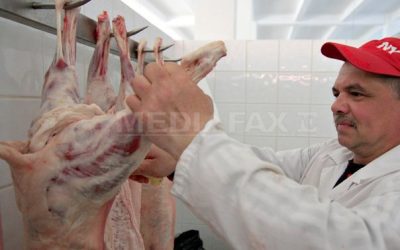 Ce alimente consumi fără să cunoști riscurile?