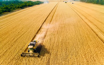 Criza cerealiere lovește puternic afacerile agricole din România O serie de probleme financiare afectează puternic afacerile din sectorul cerealier, cu mai multe companii importante care se confruntă cu dificultăți majore