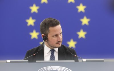 Nicu Ștefănuță cere „moment Ungaria”: Parlamentul, ras de pe fața României