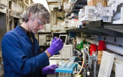 BofA taie ținta de preț a PFIZER: Acțiunile, sub presiune