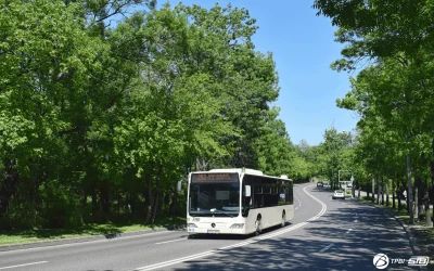 Florii: Patru linii STB, deviate în weekend