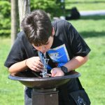 O firmă cu UN angajat, contract de 80.000 euro pentru cișmele în Sectorul 6