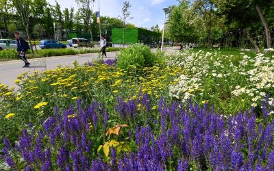 Administrația locală din Sectorul 2 oferă sprijin pentru refacerea spațiilor verzi din jurul blocurilor Primăria Sectorului 2 vine în sprijinul asociațiilor de proprietari care doresc să reamenajeze spațiile verzi din jurul blocurilor