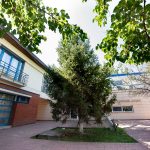 Căsuțe familiale, demolate în Sectorul 6: Adăpostul de noapte, extins