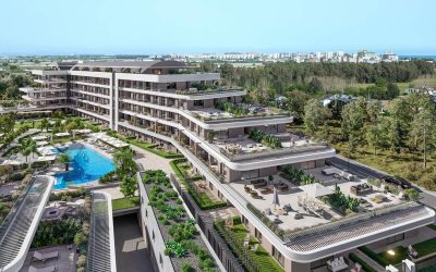 Românii investesc în străinătate: De ce nu mai cred în piața autohtonă?