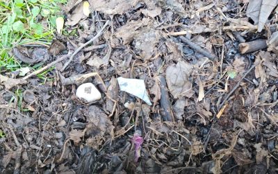 Primăria Sectorului 3 a declanșat o controversă după ce a început distribuirea gratuită de compost pentru grădinile de bloc