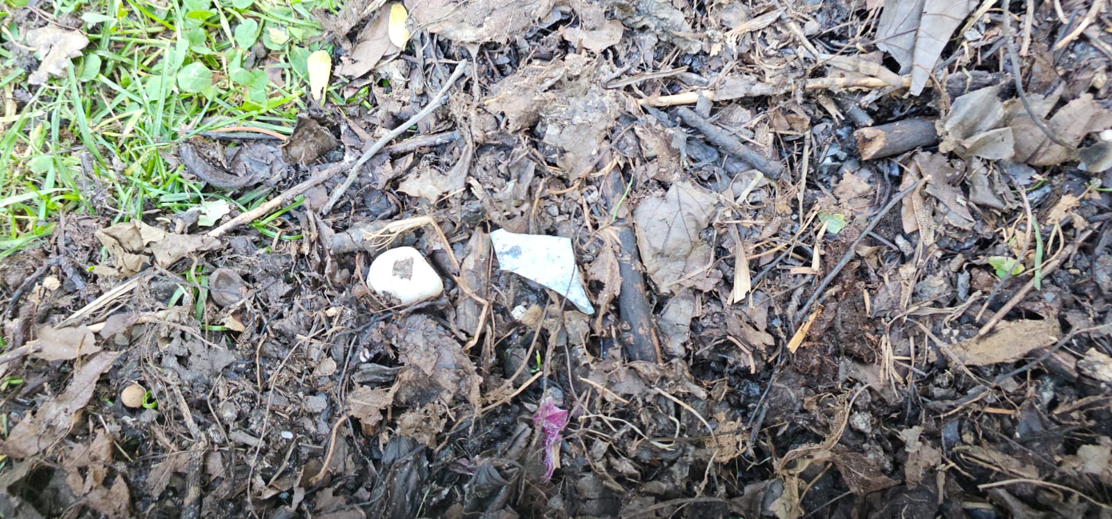 Primăria Sectorului 3 a declanșat o controversă după ce a început distribuirea gratuită de compost pentru grădinile de bloc