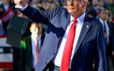 Trump promite sprijin pentru economia Ungariei