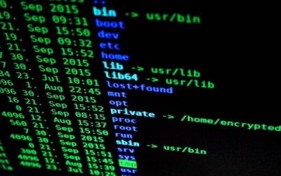 Kaspersky: Firmele împart costurile de securitate cibernetică cu partenerii