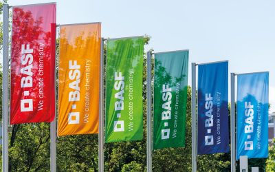 BASF angajează peste 50 de specialiști în București