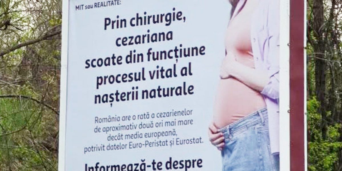 Senatoarea Păun, scandal cu panourile: Cere intervenție urgentă până în 2026?