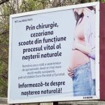 Senatoarea Păun, scandal cu panourile: Cere intervenție urgentă până în 2026?