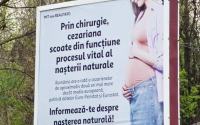 Senatoarea Păun, scandal cu panourile: Cere intervenție urgentă până în 2026?