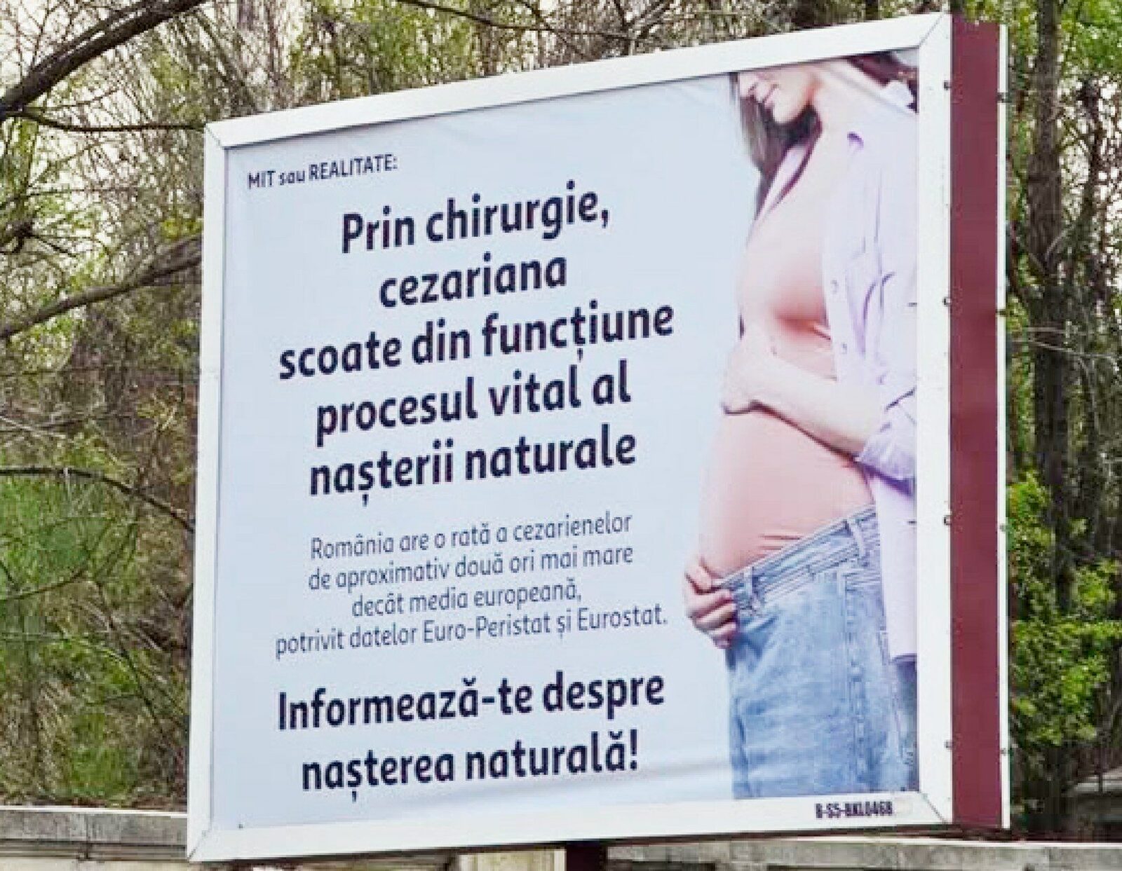 Senatoarea Păun, scandal cu panourile: Cere intervenție urgentă până în 2026?
