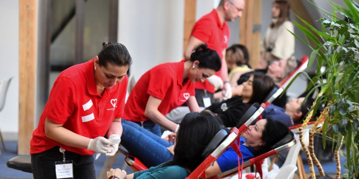 Campanie de donare de sânge la Primăria București. Cum te înscrii