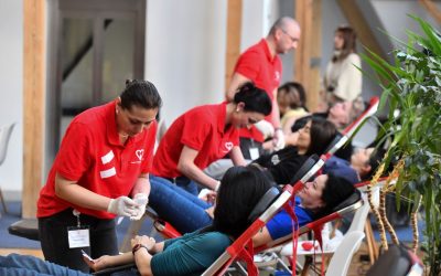 Campanie de donare de sânge la Primăria București. Cum te înscrii