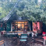 Mii de bucureșteni protestează pentru terasa din Cișmigiu: Ciucu, ascultă!