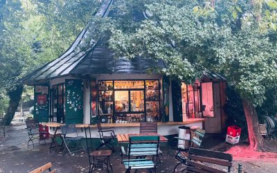 Mii de bucureșteni protestează pentru terasa din Cișmigiu: Ciucu, ascultă!