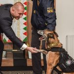 Poliția a pensionat un câine antidrog. Zâmbetul lui, viral