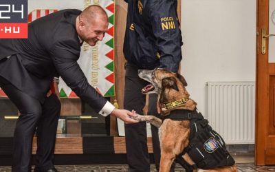 Poliția a pensionat un câine antidrog. Zâmbetul lui, viral