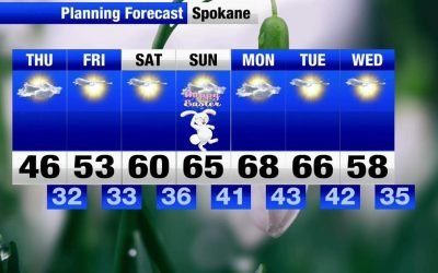 Vremea se schimbă: Zile mai calde și mai uscate se întrevăd după ninsori Bucureștiul și alte zone ale țării se pregătesc pentru o schimbare a vremii