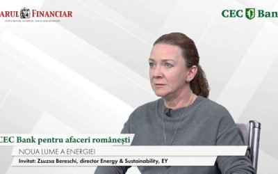 CEC Bank, pilon pentru business-urile românești: Zsuzsa Bereschi (EY) are detalii