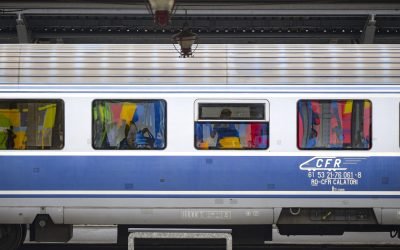 CFR Călători a anunțat întreruperea traficului feroviar între Augustin și Racoș, din cauza unui copac căzut pe șine