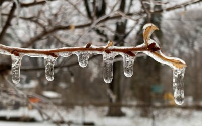 Școli în Minnesota, date peste cap de vremea rea: Zăpadă, lapoviță și gheață în prognoză!