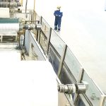 Regina, brandul Sofidel, schimbă regulile: Ce se întâmplă acum