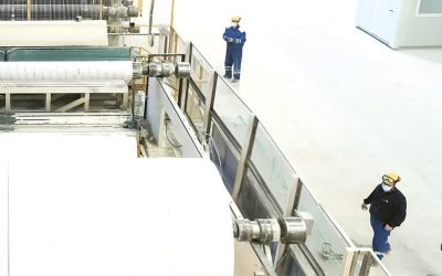 Regina, brandul Sofidel, schimbă regulile: Ce se întâmplă acum