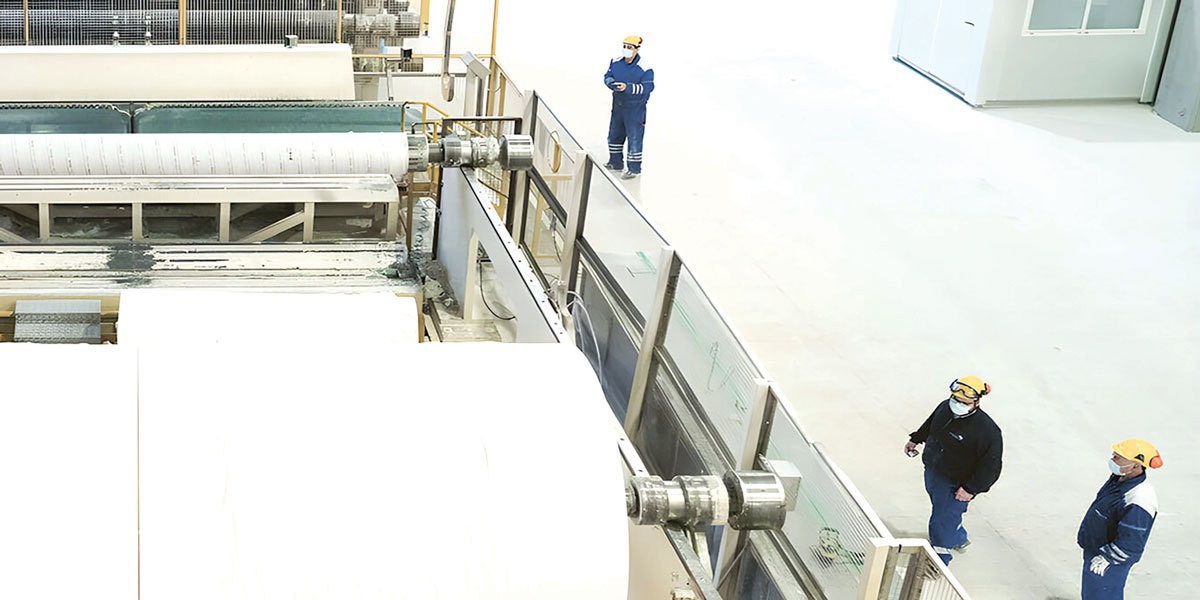 Regina, brandul Sofidel, schimbă regulile: Ce se întâmplă acum