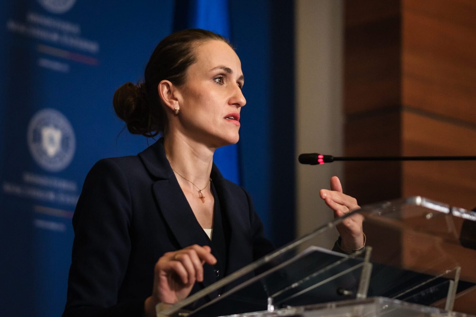 Oana Țoiu, dialog crucial cu viitoarea șefă a diplomației ungare