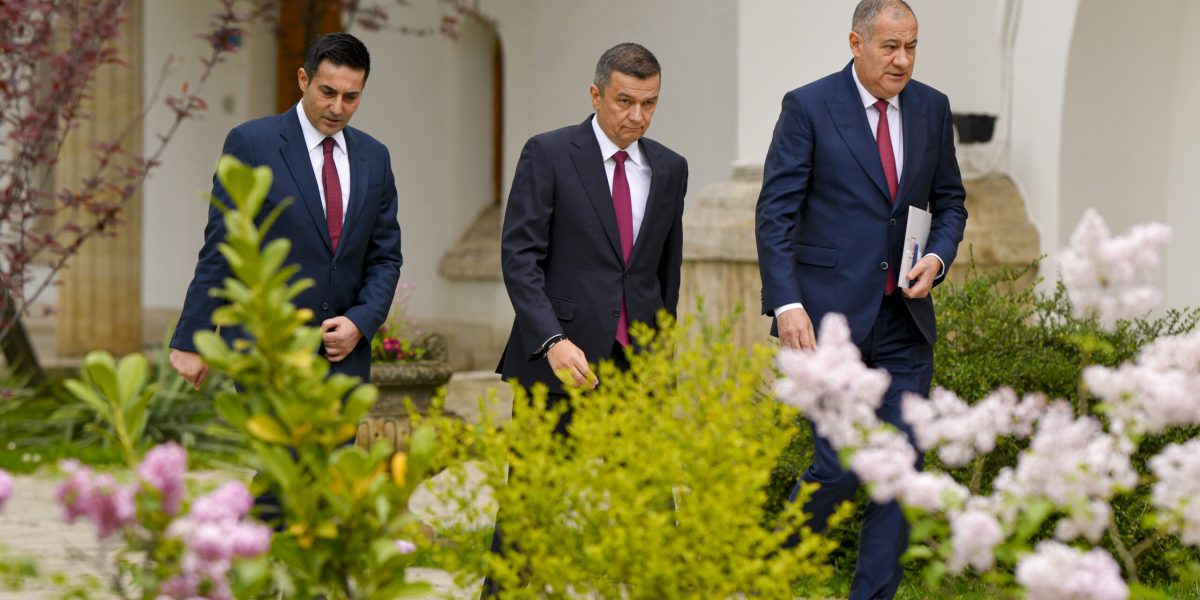 Trebuie să arătăm „sânge în instalație”, avertizează liderul