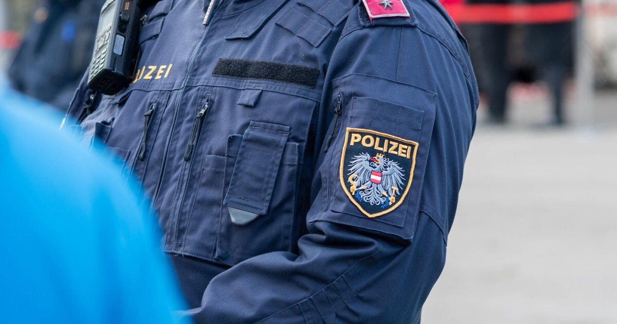Poliția din Viena a reținut o bandă de escroci formată aproape în totalitate din români
