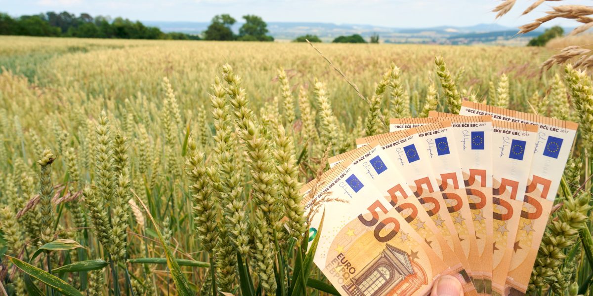 Românii își primesc banii înapoi: 50% din factura la energie, decontată până în 2026