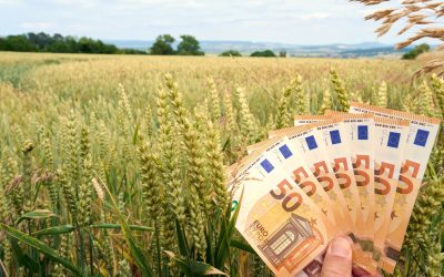 Românii își primesc banii înapoi: 50% din factura la energie, decontată până în 2026